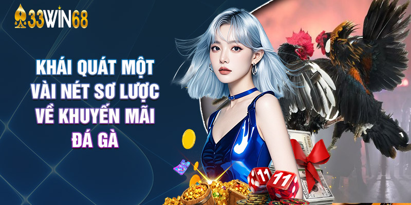 Khái Quát Một Vài Nét Sơ Lược Về Khuyến Mãi Đá Gà